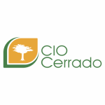 logo-13-cio-cerrado-goiania-brasilia-webcer-marketing-digital-01