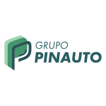 grupo-pinauto-logo-webcer-agencia-marketing-digital-goiania-go-01